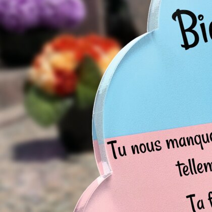 Plaque funéraire jouet-et-bol-pour-chiens-forme-nuage 1 Plaquedeces.fr
