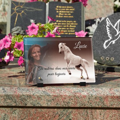 Plaque funéraire cheval-blanc 21 Plaquedeces.fr
