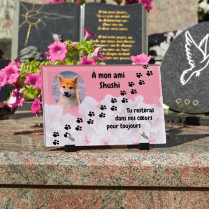 Plaque funéraire empreinte-chien-pastel 8 Plaquedeces.fr
