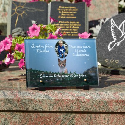 Plaque funéraire chat-en-pleine-nuit 25 Plaquedeces.fr
