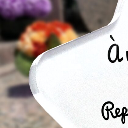 Plaque funéraire balle-pour-chiens-forme-etoile 5 Plaquedeces.fr
