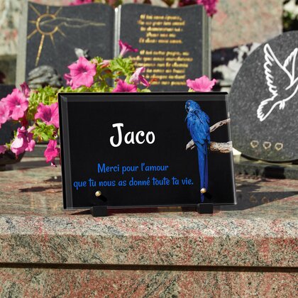 Plaque funéraire perroquet-bleu 1 Plaquedeces.fr
