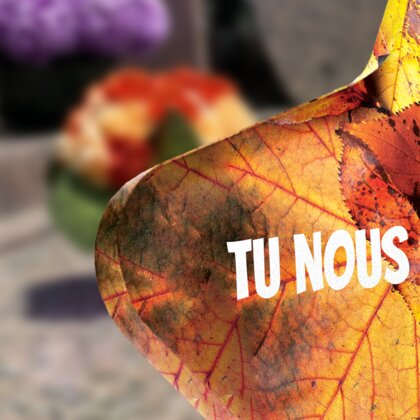 Plaque funéraire chaton-parmi-des-feuilles-forme-etoile 29 Plaquedeces.fr
