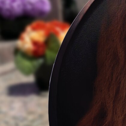 Plaque funéraire lion-majestueux-forme-ovale 16 Plaquedeces.fr
