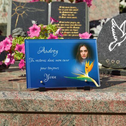 Plaque funéraire fleur-du-paradis 13 Plaquedeces.fr

