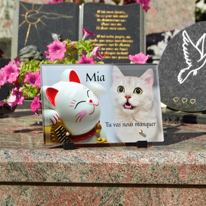 Plaque funéraire chat-de-la-chance 23 Plaquedeces.fr
