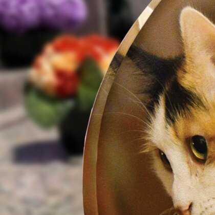 Plaque funéraire chat-qui-sallonge-forme-ovale 25 Plaquedeces.fr
