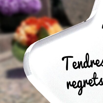 Plaque funéraire magnifiques-orchidees-forme-etoile 8 Plaquedeces.fr
