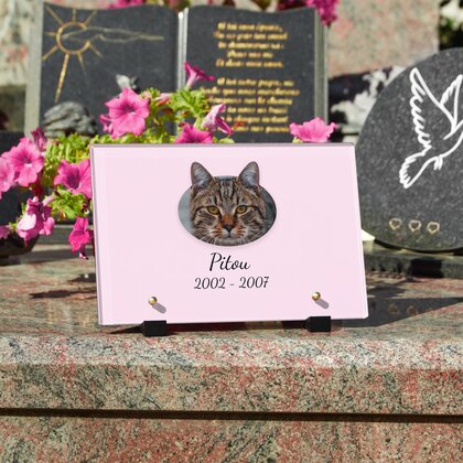 Plaque funéraire chat-cartoon 21 Plaquedeces.fr
