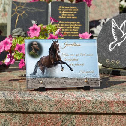 Plaque funéraire cheval-au-bord-de-lac 17 Plaquedeces.fr
