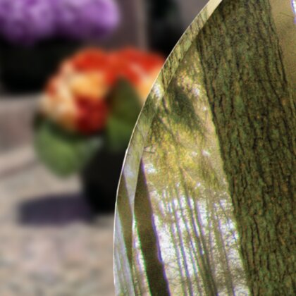 Plaque funéraire foret-forme-ovale 2 Plaquedeces.fr
