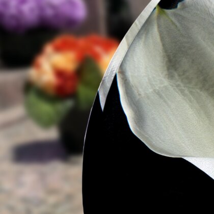 Plaque funéraire arum-blanc-forme-ovale 22 Plaquedeces.fr
