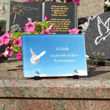 Plaque funéraire colombe-ciel-bleu 3 Plaquedeces.fr
