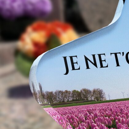 Plaque funéraire champ-de-tulipes-forme-etoile 23 Plaquedeces.fr
