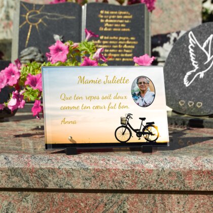 Plaque funéraire velo-de-ville 27 Plaquedeces.fr
