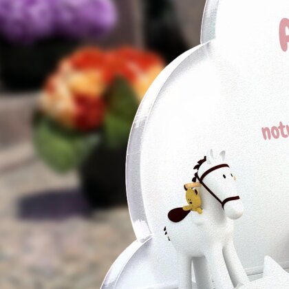 Plaque funéraire salle-de-jeux-forme-nuage 6 Plaquedeces.fr
