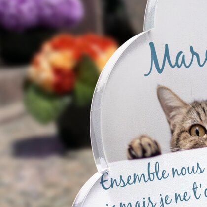 Plaque funéraire chat-qui-se-cache-forme-nuage 23 Plaquedeces.fr
