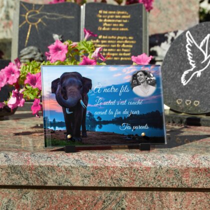 Plaque funéraire plaque-funeraire-elephant 28 Plaquedeces.fr
