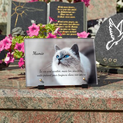 Plaque funéraire chat-majestueux 22 Plaquedeces.fr
