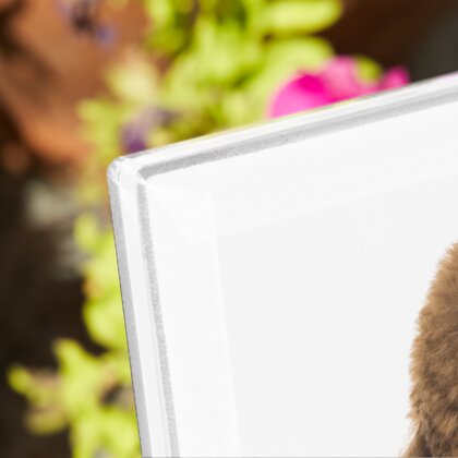 Plaque funéraire plaque-funeraire-caniche 7 Plaquedeces.fr
