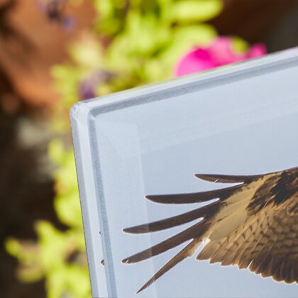Plaque funéraire plaque-funeraire-aigle 22 Plaquedeces.fr
