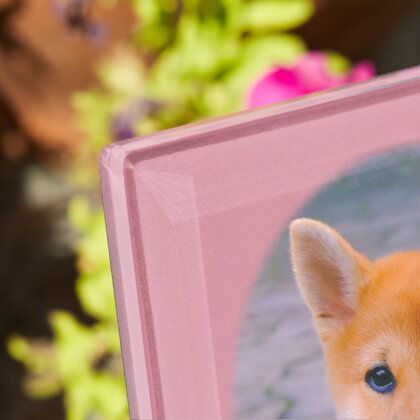 Plaque funéraire empreinte-chien-pastel 21 Plaquedeces.fr
