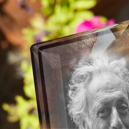 Plaque funéraire champignons-sur-pierre 2 Plaquedeces.fr
