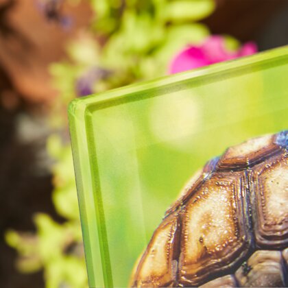 Plaque funéraire plaque-funeraire-tortue 1 Plaquedeces.fr
