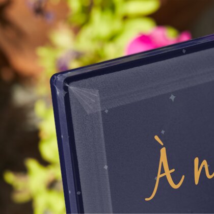 Plaque funéraire le-petit-prince 1 Plaquedeces.fr
