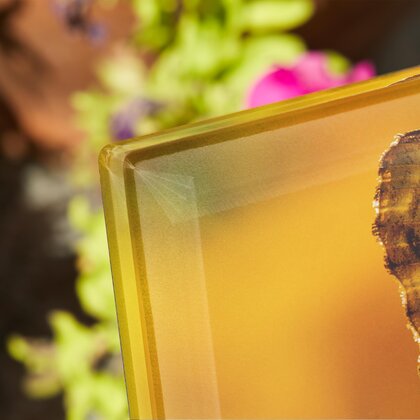 Plaque funéraire papillon-jaune 2 Plaquedeces.fr
