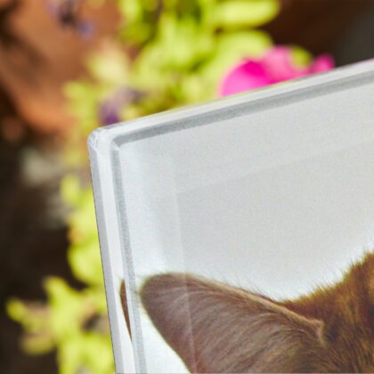 Plaque funéraire chat-orange 2 Plaquedeces.fr
