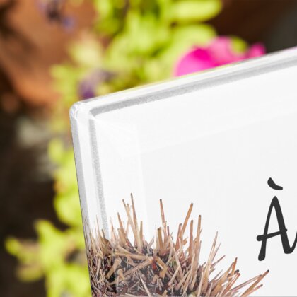 Plaque funéraire oursin-de-mer 6 Plaquedeces.fr
