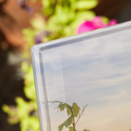 Plaque funéraire plaque-funeraire-vignes 9 Plaquedeces.fr
