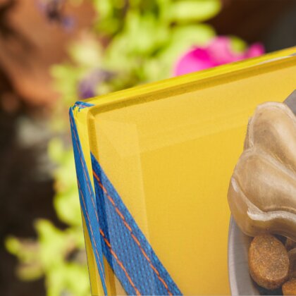 Plaque funéraire accessoires-pour-chiens 2 Plaquedeces.fr
