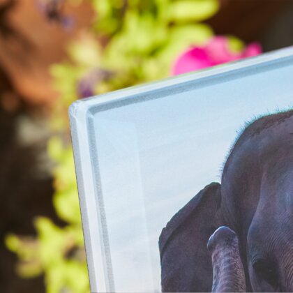 Plaque funéraire plaque-funeraire-elephant 7 Plaquedeces.fr
